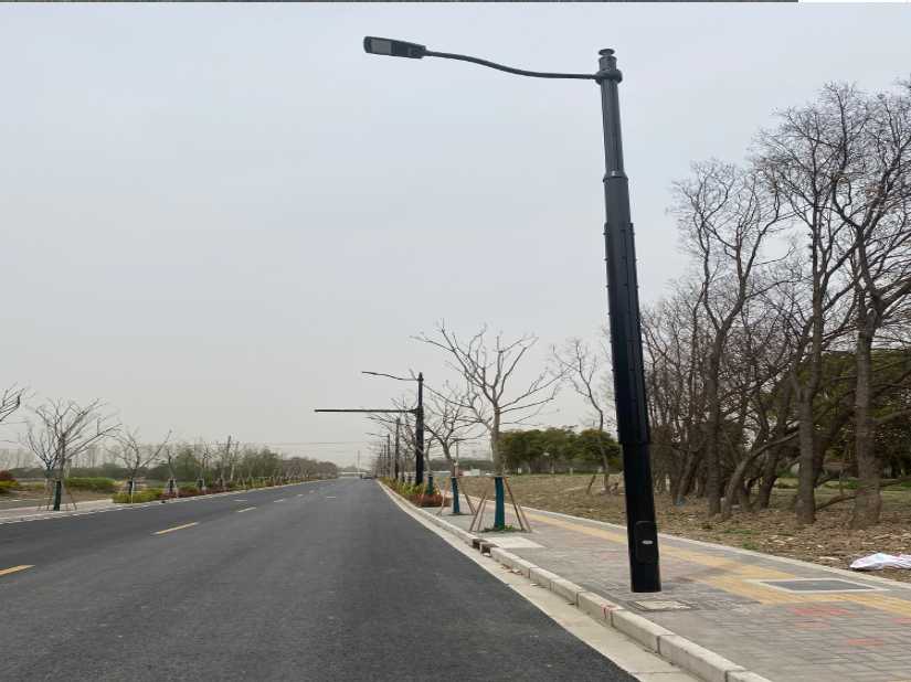 蕉城区上海综合杆 太阳能路灯工程